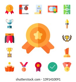 champion icon set. 17 flat champion icons.  Simple modern icons about  - medal, trophy, boxing shorts, winner, torch, beer pong, punching bag, certificate, medals, award, success