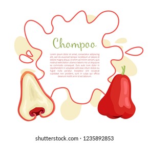 Champoo exotic juicy fruit vector poster with frame and place for text. Java apple, Semarang rose-apple and wax jambu, Syzygium samarangense. Tropical edible food icon vector