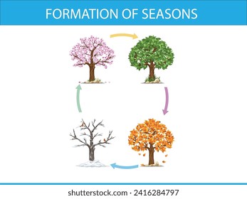Change of peach tree according to seasons