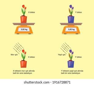 change of photosynthesis under light pot and flower science lesson