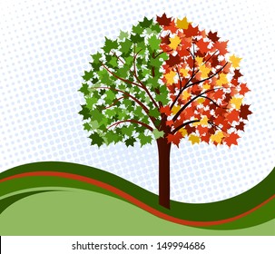 Change of seasons tree 