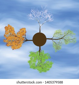 Change of seasons, trees according to 4 seasons. Vector illustration, EPS10 