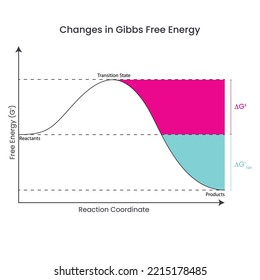 Changes In Gibbs Free Energy Depicted In A Reaction Diagram Of A Thermodynamically Favorable Reaction