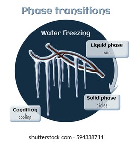 Changes of states. Part 5 of 6. Water freezing - icicles on tree branches. Phase transition from liquid to solid state. Educational infographics. Cartoon vector illustration in flat style.