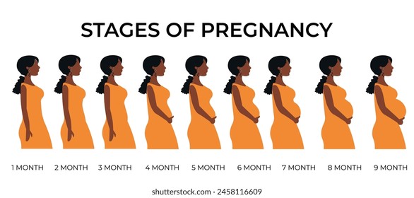 Cambios en el cuerpo de una mujer durante el embarazo. Mujer africana plana que lleva un vestido amarillo con cambios en el cuerpo de una mujer en el embarazo. Las etapas principales del embarazo.