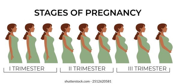 Cambios en el cuerpo de una mujer durante el embarazo. Mujer plana con un vestido verde con cambios en el cuerpo de una mujer en el embarazo. Las principales etapas del embarazo. Trimestre del embarazo