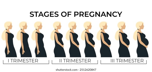 Cambios en el cuerpo de una mujer durante el embarazo. Mujer rubia plana que lleva un vestido negro con cambios en el cuerpo de una mujer en el embarazo. Las principales etapas del embarazo. Trimestre del embarazo