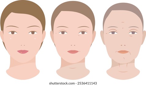 Changes in a woman's face due to aging, such as wrinkles and sagging from middle age to senior years