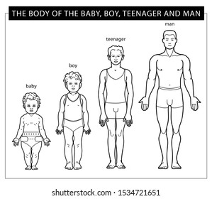 Changing the male body from a baby to a boy, teenager, man. Different generations. A man in different ages.Vector illustration. - Vector. Linear graphics.