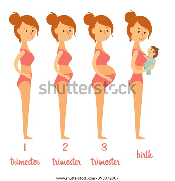 Changing Womans Body During Stages Pregnancy Stock Vector (Royalty Free
