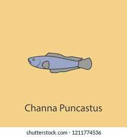 channa puncastus 2 colored line icon. Simple purple and gray element illustration. channa puncastus concept outline symbol design from fish set