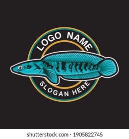 Channa snake head predator animal fish wild life in water illustration vector, Snakehead fish logo vector
