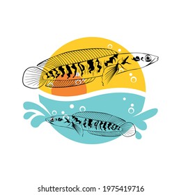 Channa snake head predator animal fish wild life in water illustration vector, Snakehead fish logo vector