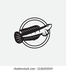 Channa Snakehead fish, Predator Fish, animal underwater design, logo, and illustration