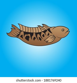 Channa Snakehead Fish vector illustration for sign symbol for education and element sea artwork