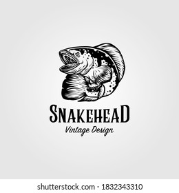 channa snakehead fish vintage logo vector illustration design