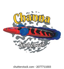 channa sneakehead fish. red maru predator fish on white background. vectors are used in t-shirt and logo designs. simple design vector animal illustration