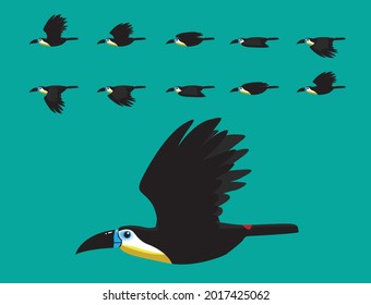 Channel-Billed Toucan Flying Animation Cute Cartoon Vector Illustration