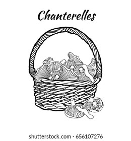 Chanterelle in the basket. Coloring page. Hand drawn vector illustration