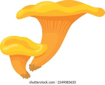 Chanterelle cartoon icon. Wild nature plant. Woodland fungus isolated on white background