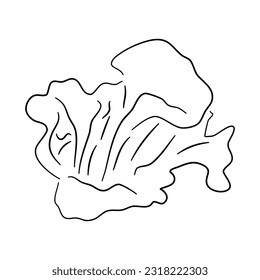Chanterelle doodle icon. Hand drawn black sketch. Vector Illustration.