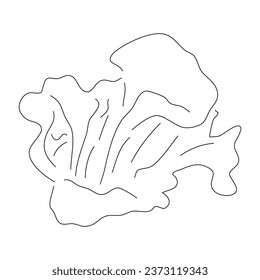 Chanterelle doodle icon. Hand drawn black sketch. Vector editable stroke.