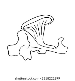 Chanterelle doodle icon with a hand-drawn black sketch. Vector Illustration.