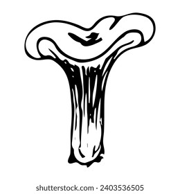 Chanterelle doodle mushroom. Collecting forest food. Cantharellus cibarius. Hand drawn sketch.