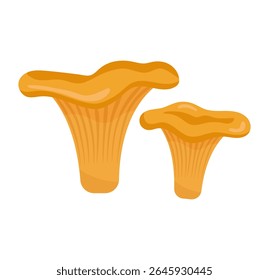 Cogumelo comestível Chanterelle isolado em fundo branco. Fungos florestais de outono em estilo plano. Ilustração vetorial.