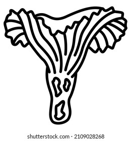 Chanterelle, edible mushroom. Mycelium, a place where mushrooms are collected, vegetarian food. Forest mushroom, natural food. Vector icon, outline, isolated. Editable stroke