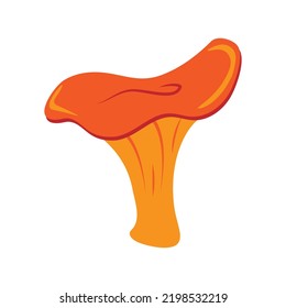Chanterelle edible mushroom vector doodle illustration. Beautiful minimalistic isolated autumn fungi in cartoon style
