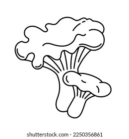 Chanterelle. Edible mushrooms. Vector line. Editable outline stroke.