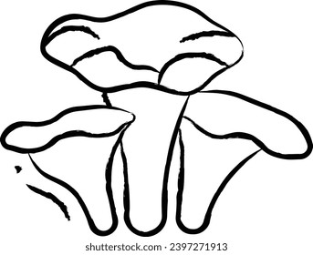 chanterelle hand drawn vector illustration