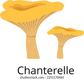 Chanterelle icon. Cartoon mushroom. Autumn nature symbol
