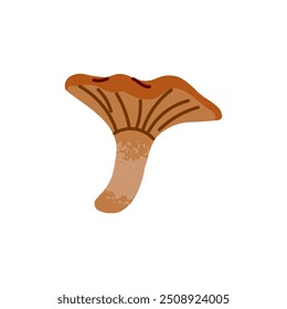 Ícone de cantarela. Cogumelo comestível em estilo desenhado à mão. Boleto de outono, fungo de queda para comida. Bolete florestal para comer. Elemento natural do outono. Ilustração de vetor isolado plano sobre fundo branco