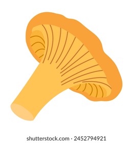 Chanterelle illustration. Edible chanterelle mushrooms. Yellow mushroom. Hand drawn trendy flat style. Doodle autumn forest harvest. Vector illustration