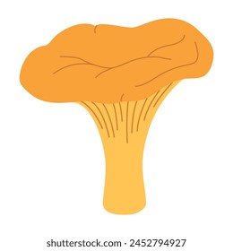 Chanterelle illustration. Edible chanterelle mushrooms. Yellow mushroom. Hand drawn trendy flat style. Doodle autumn forest harvest. Vector illustration