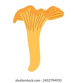 Chanterelle illustration. Edible chanterelle mushrooms. Yellow mushroom. Hand drawn trendy flat style. Doodle autumn forest harvest. Vector illustration