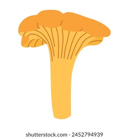 Chanterelle illustration. Edible chanterelle mushrooms. Yellow mushroom. Hand drawn trendy flat style. Doodle autumn forest harvest. Vector illustration