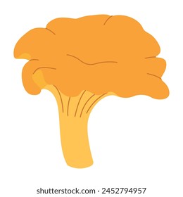 Chanterelle illustration. Edible chanterelle mushrooms. Yellow mushroom. Hand drawn trendy flat style. Doodle autumn forest harvest. Vector illustration