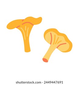 Chanterelle mushroom, cartoon style. Vector illustration isolated on white background, hand drawn, flat design