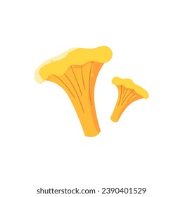 Chanterelle mushroom. Edible and delicious fungus. Vector cartoon illustration with texture isolated on the white background.