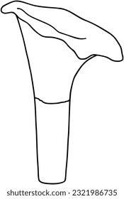 chanterelle mushroom edible food plant nature doodle linear cartoon coloring