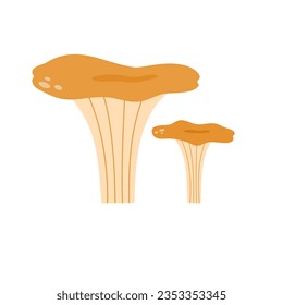 Chanterelle mushroom. Flat style. Vector illustration 