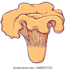 Chanterelle mushroom. Forest edible mushroom family. Vector illustration in hand drawn cartoon style. Yellow mushroom healthy vegetarian food isolated on white