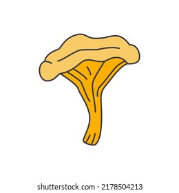 Chanterelle Mushroom  icon in color, isolated on white background 