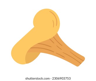 Chanterelle Mushroom Icon Vector Illustration