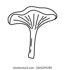 Chanterelle mushroom on white background, doodle style flat vector outline for coloring book