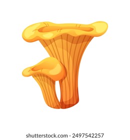 Chanterelle mushroom on white background. Edible forest mushroom. Vector icon