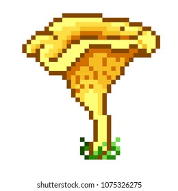 The Chanterelle Mushroom. Pixel Art. Vector.